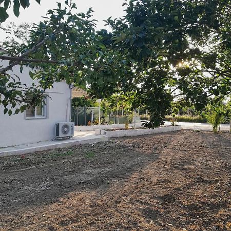 Alibaba Villa Near Airport And Beach Dalaman Exteriör bild