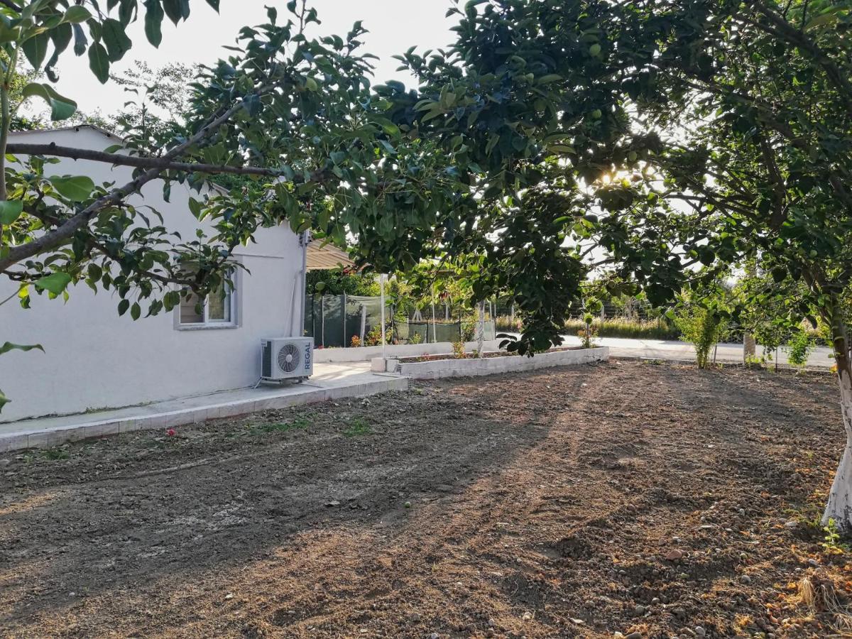 Alibaba Villa Near Airport And Beach Dalaman Exteriör bild