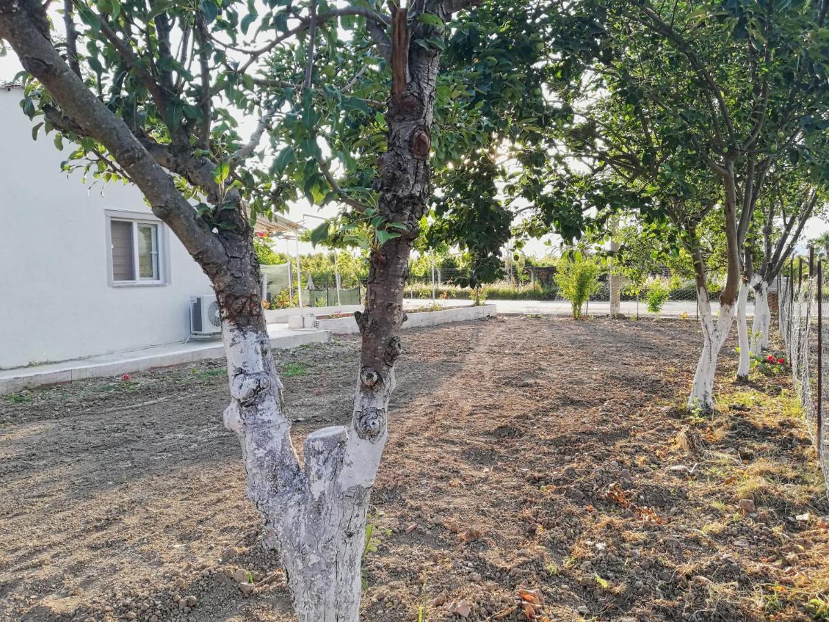 Alibaba Villa Near Airport And Beach Dalaman Exteriör bild